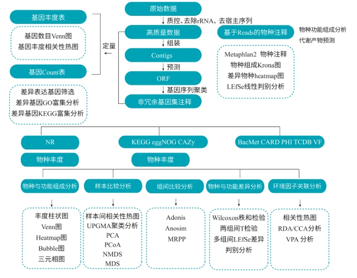 宏轉錄組測序分析流程