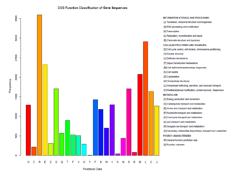 metagenome-cog metagenome-cog