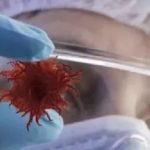 【文獻精度】蛋白組+三代全長(cháng)轉錄組致力于腫瘤標志物的研究