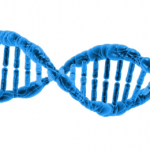 【案例解讀】蛋白組學(xué)iTRAQ和label-free的技術(shù)應用