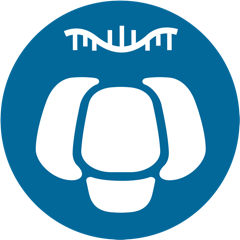 有參全長(cháng)轉錄組（ONT）分析平臺