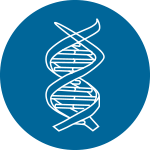 加權基因共表達網(wǎng)絡(luò )分析