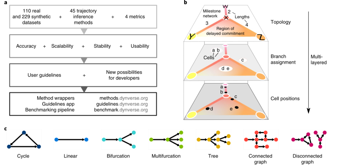 圖1 ?軌跡分析算法評估流程及7種細胞分化軌跡類(lèi)型[1]