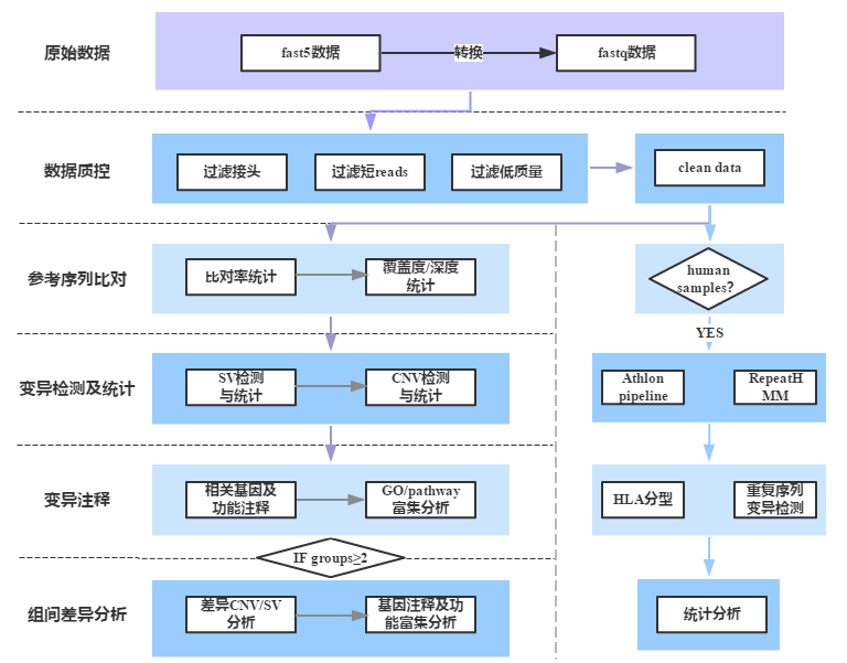 Nanopore全基因組重測序生物信息分析流程圖