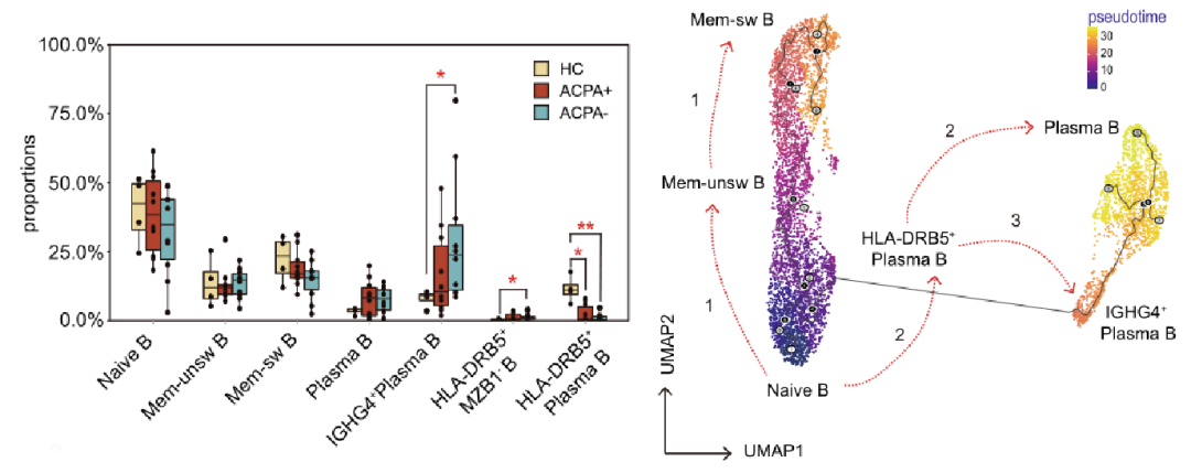 圖1?利用Monocle推斷類(lèi)風(fēng)濕性關(guān)節炎PBMCs B細胞的分化軌跡[3]