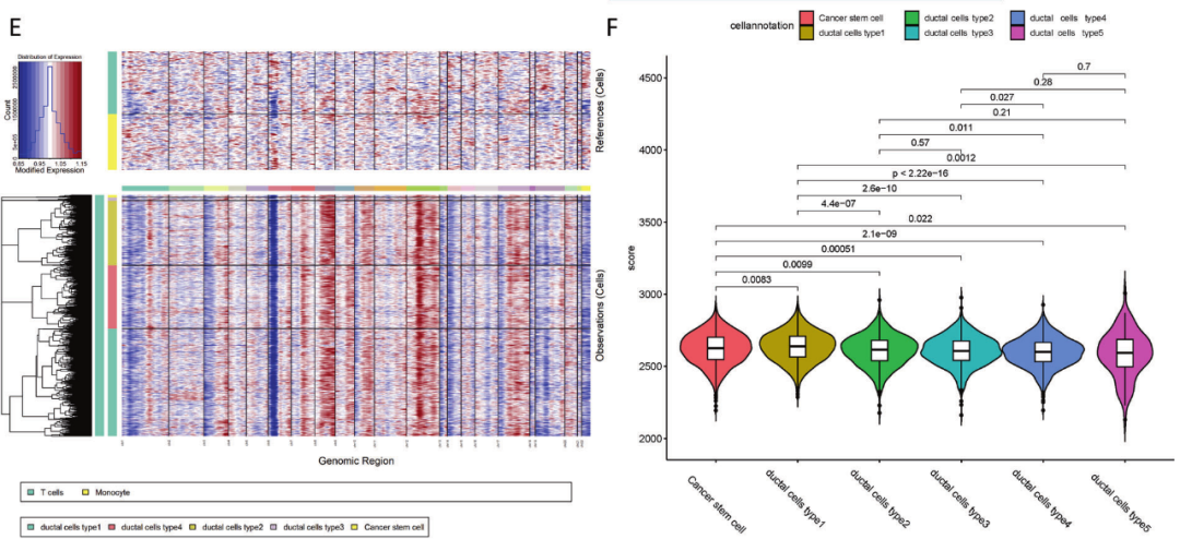 圖6?利用inferCNV揭示胰腺導管腺癌惡性細胞類(lèi)型[11]