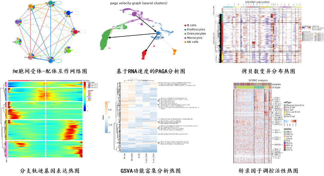 圖9 ?百邁客部分分析實(shí)例展示