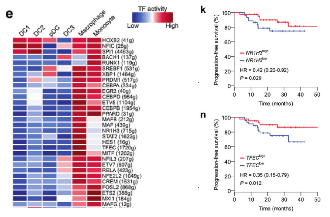 圖7??基于SCENIC分析鼻咽癌關(guān)鍵調控轉錄因子[9]