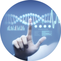 S1000-ONT 空間全長(cháng)轉錄組