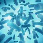 百邁客細菌基因組升級：純三代單菌組裝技術(shù)開(kāi)創(chuàng  )行業(yè)新高度