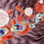 夏日基因解謎季，微生物組學(xué)冰點(diǎn)價(jià)啟程