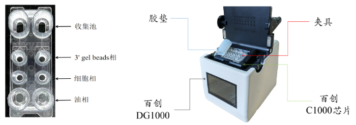 圖1：百創(chuàng  )C1000芯片結構（左圖）；百創(chuàng  )DG1000微液滴生成儀（右圖）