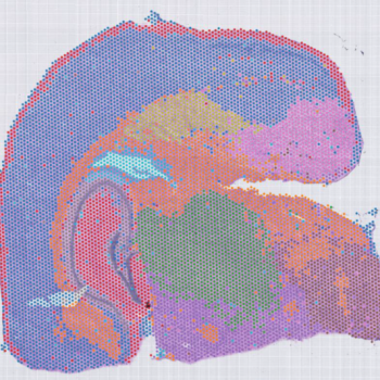 50μm 分辨率 Spots 聚類(lèi)圖