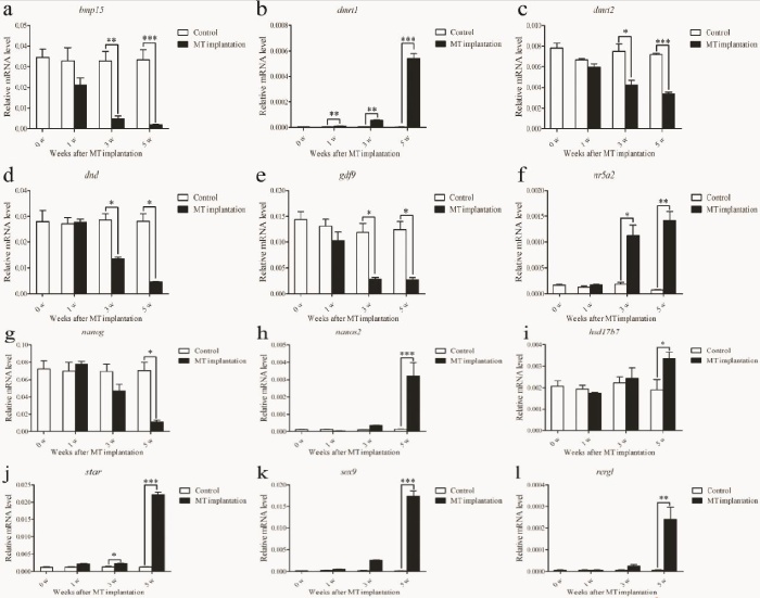 圖 8 RT-qPCR 驗證性逆轉期間所選基因的表達