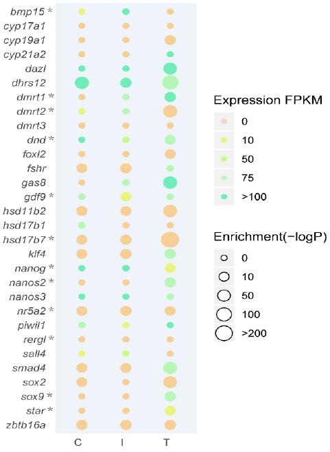 氣泡圖基于 RNA-seq DEG 的表達水平和 ATAC-seq 富集基序