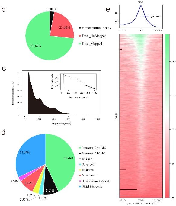 圖 4 ATAC-seq 結果概述