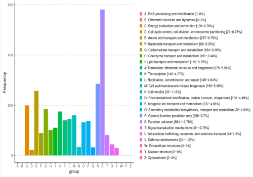 eggNOG功能基因功能分類(lèi)統計圖 eggNOG功能基因功能分類(lèi)統計圖