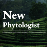 如何精準調控植物生長(cháng)的“油門(mén)”和“剎車(chē)”？