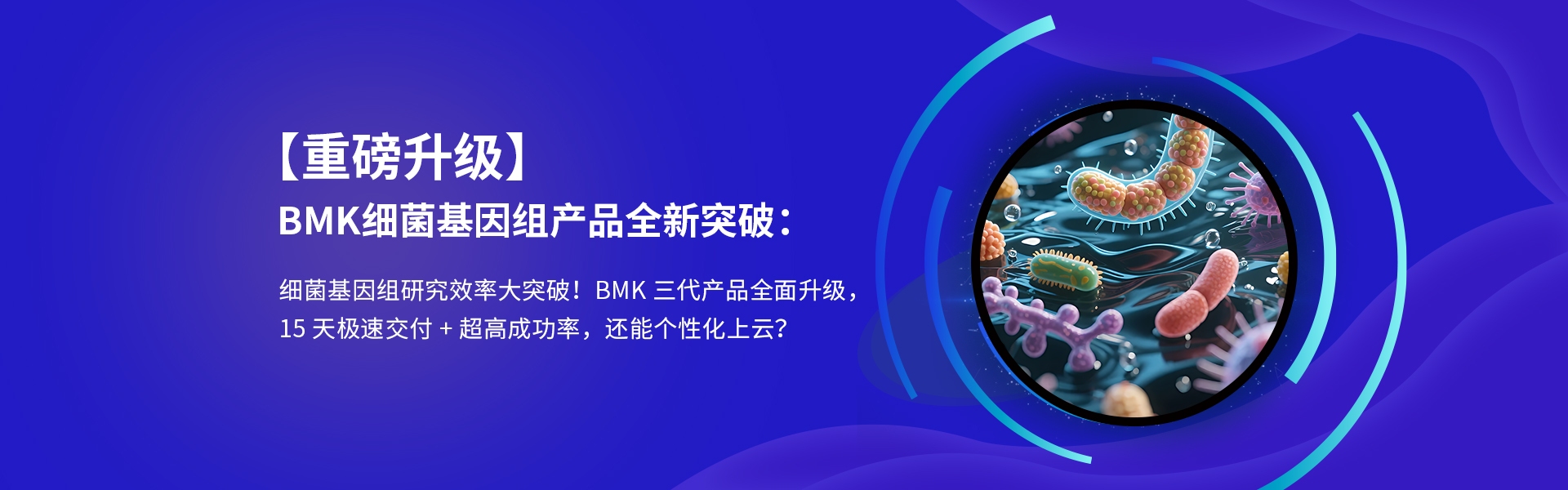 細菌基因組升級