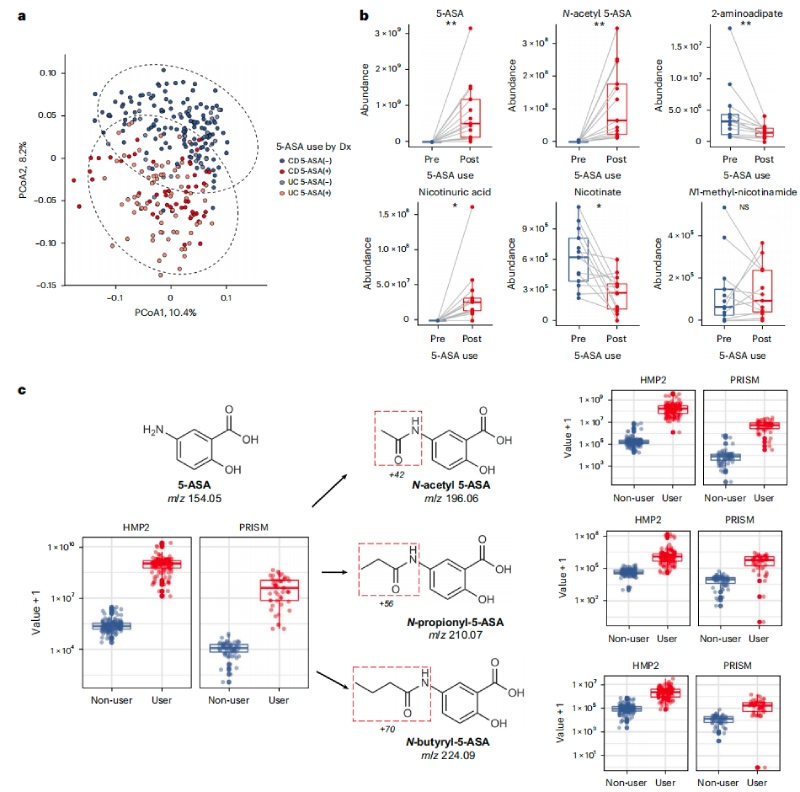 5-ASA可直接影響糞便代謝組，并通過(guò)微生物組進(jìn)行生物轉化