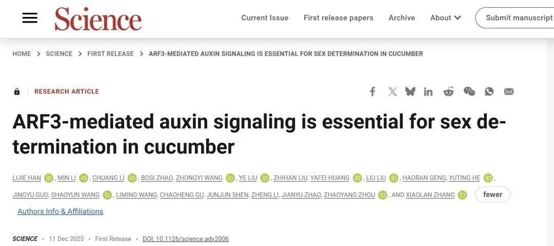 《Science》ARF3介導的生長(cháng)素信號對黃瓜性別決定至關(guān)重要