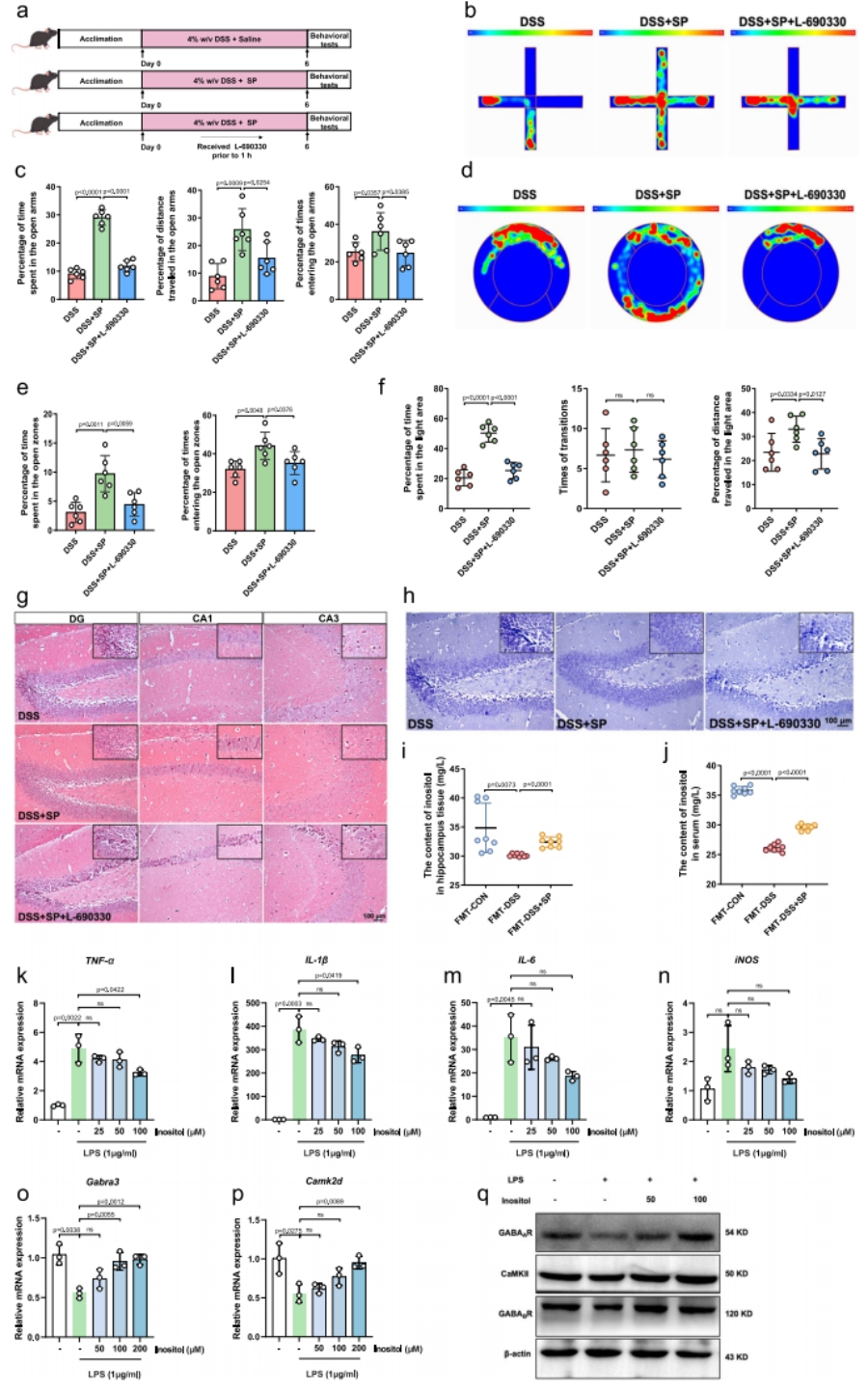 圖9 肌醇在SP對DSS誘導小鼠焦慮樣行為的作用中發(fā)揮關(guān)鍵作用
