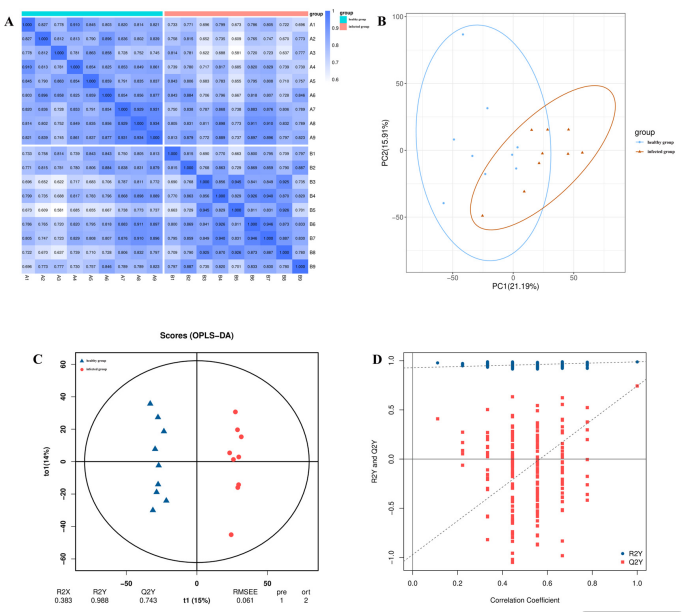 圖6 基于PCA和OPLS-DA分析的樣本分組與模型驗證