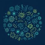 Nature Communications同款宏轉錄組技術(shù)詳解，原來(lái)高分研究這么做！